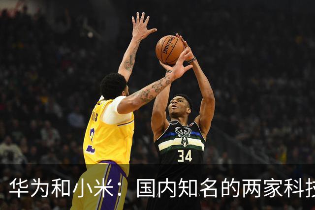 华为和小米：国内知名的两家科技公司，从产品端到粉丝端，良性竞争演变为对立攻击，互联网时代的超级饭圈文化（上）