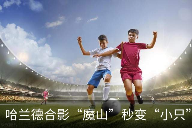 哈兰德合影“魔山”秒变“小只”，1米95神锋在壮汉面前像小学生