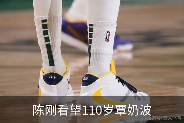 陈刚看望110岁覃奶波