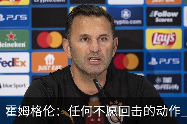霍姆格伦：任何不愿回击的动作 都会成为对方的优势